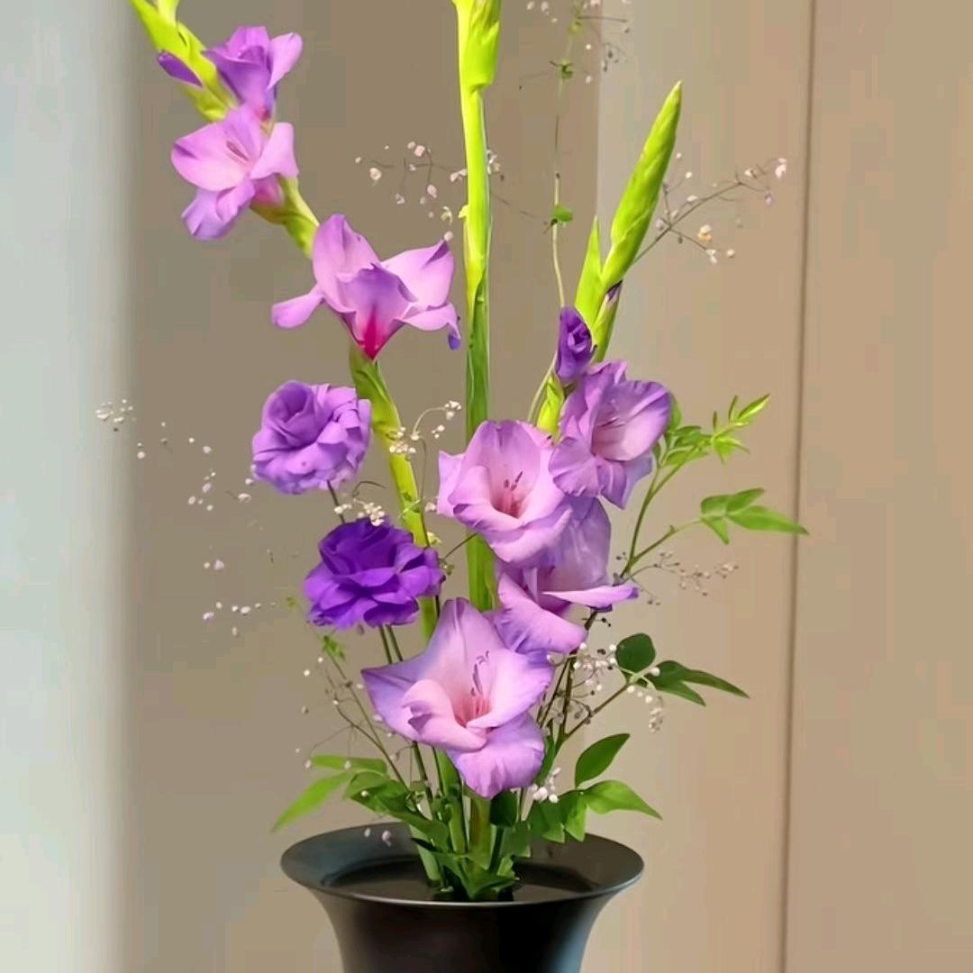 春暖🌼🌼开