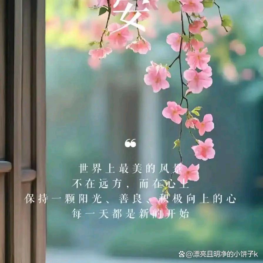 用户665825