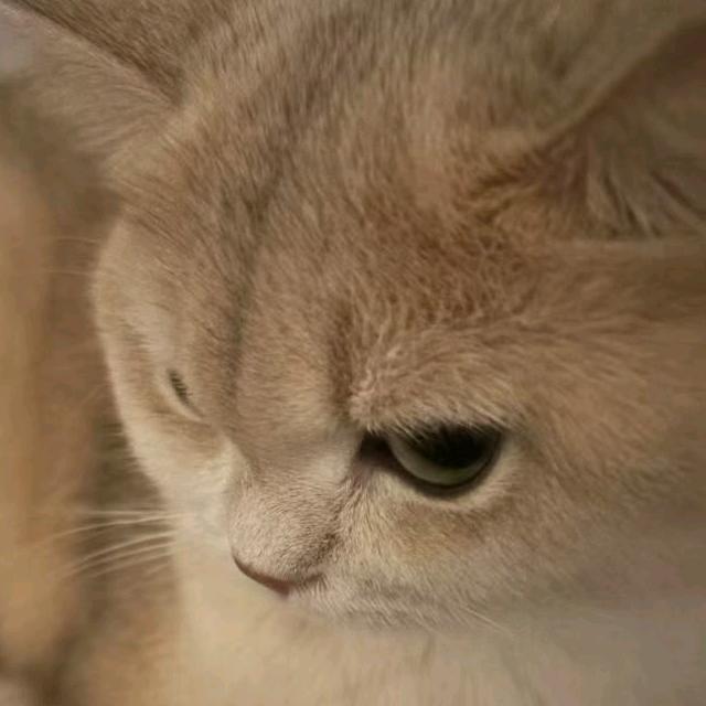 小宇（1w粉丝一壶莲花醉版）