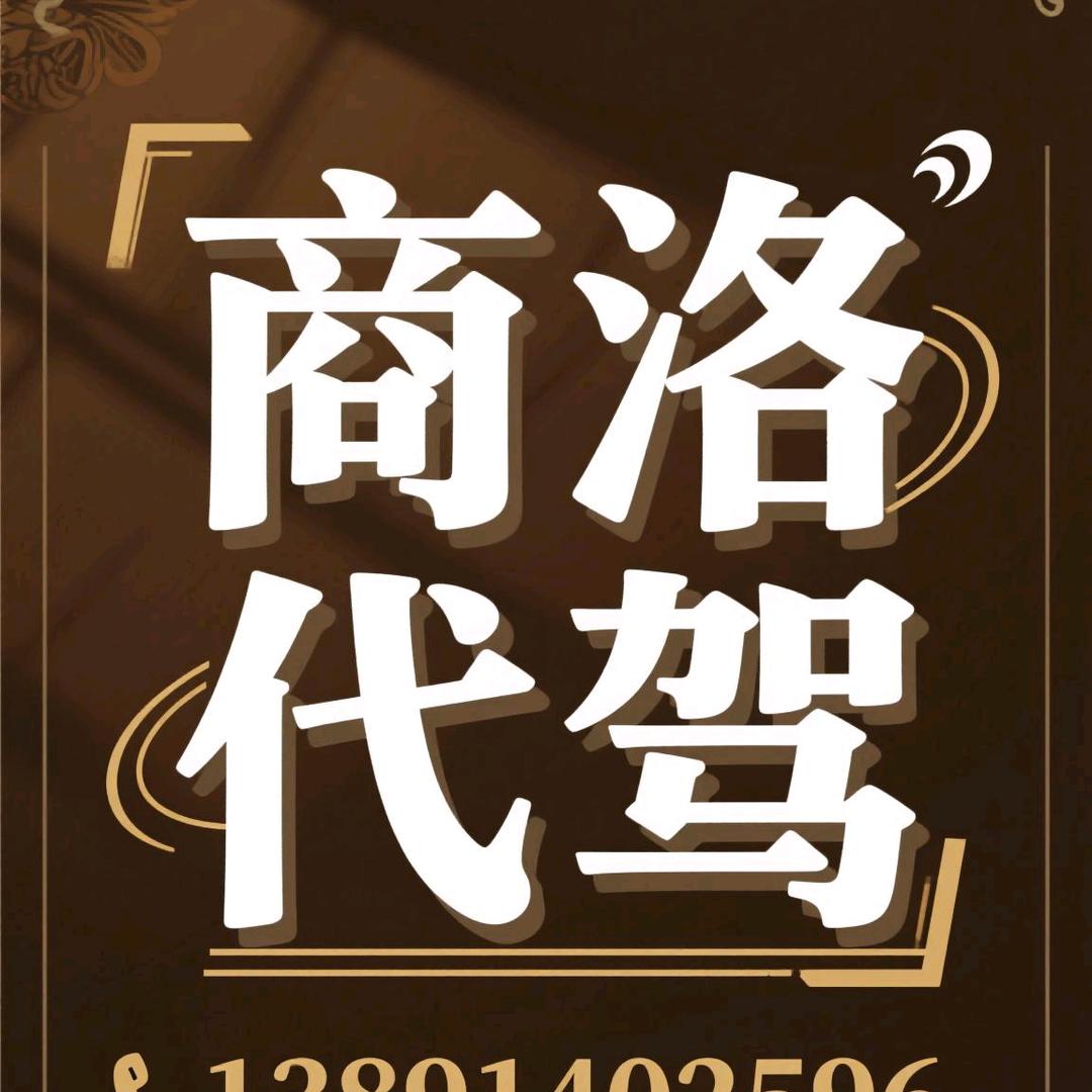 代驾小张跑全国  商洛代驾