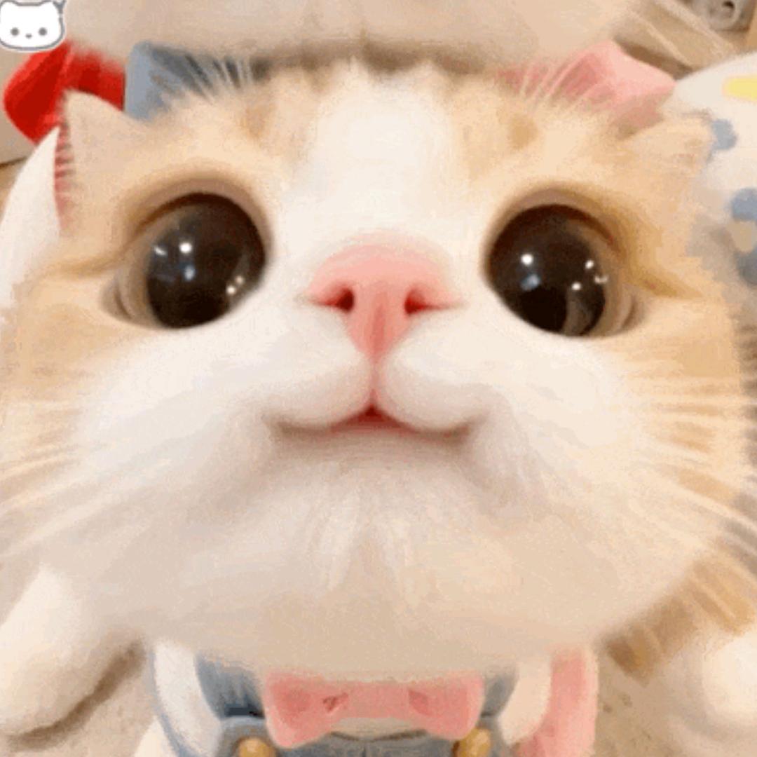 憨憨