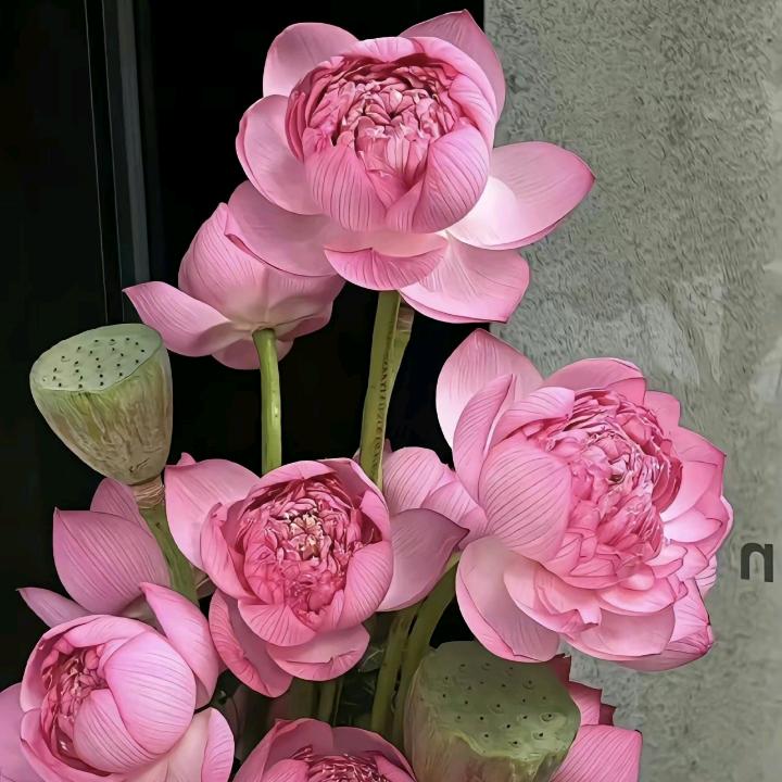 小王🌹🌹🌹🌹