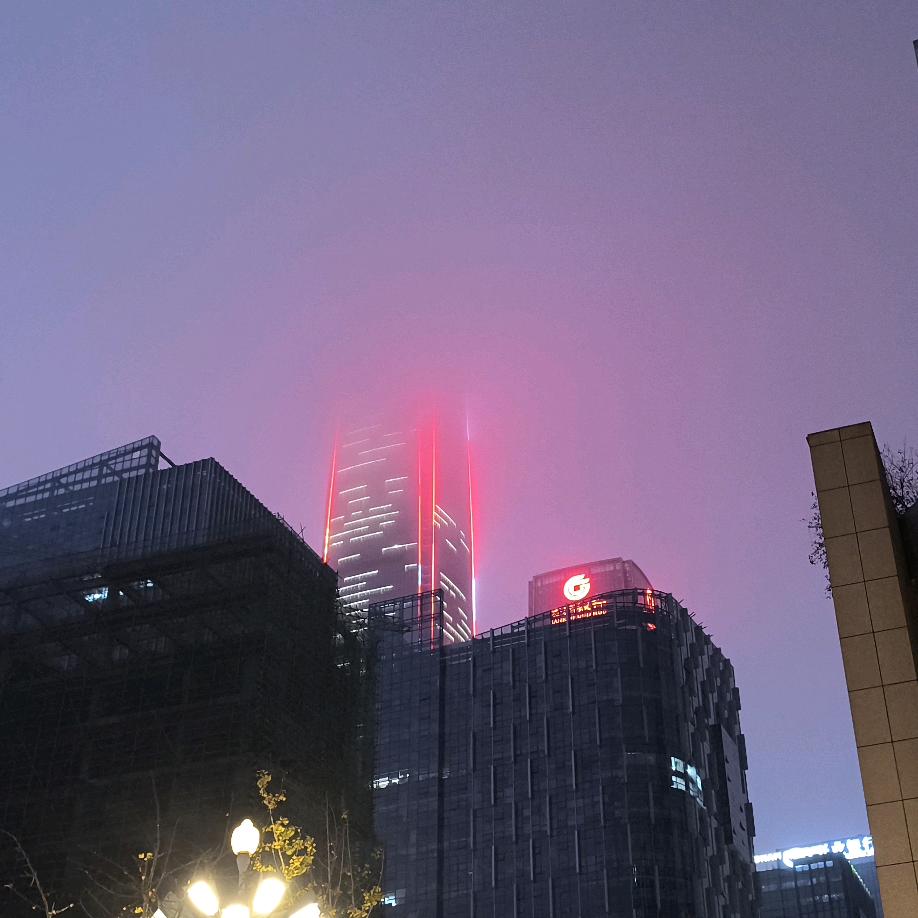 海带多糖