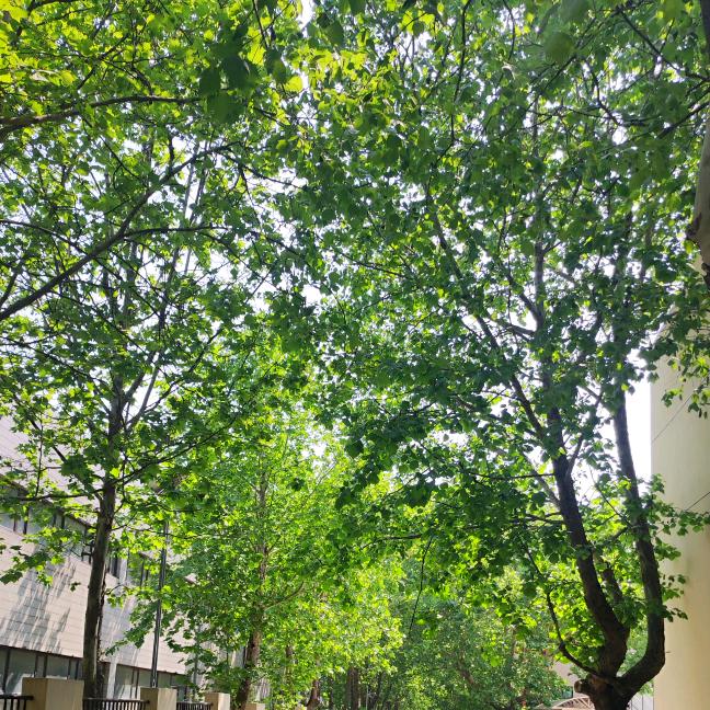 日常生活点点滴滴