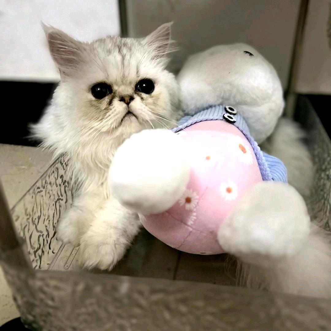 故事不听了