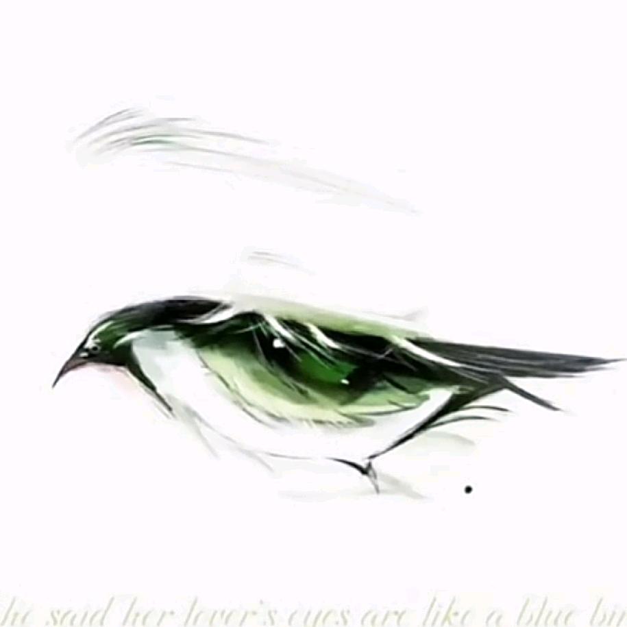 o▬▬l▅▅▅▅▅▅▅▅▅▆▇◤