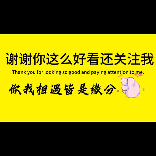 一网情深