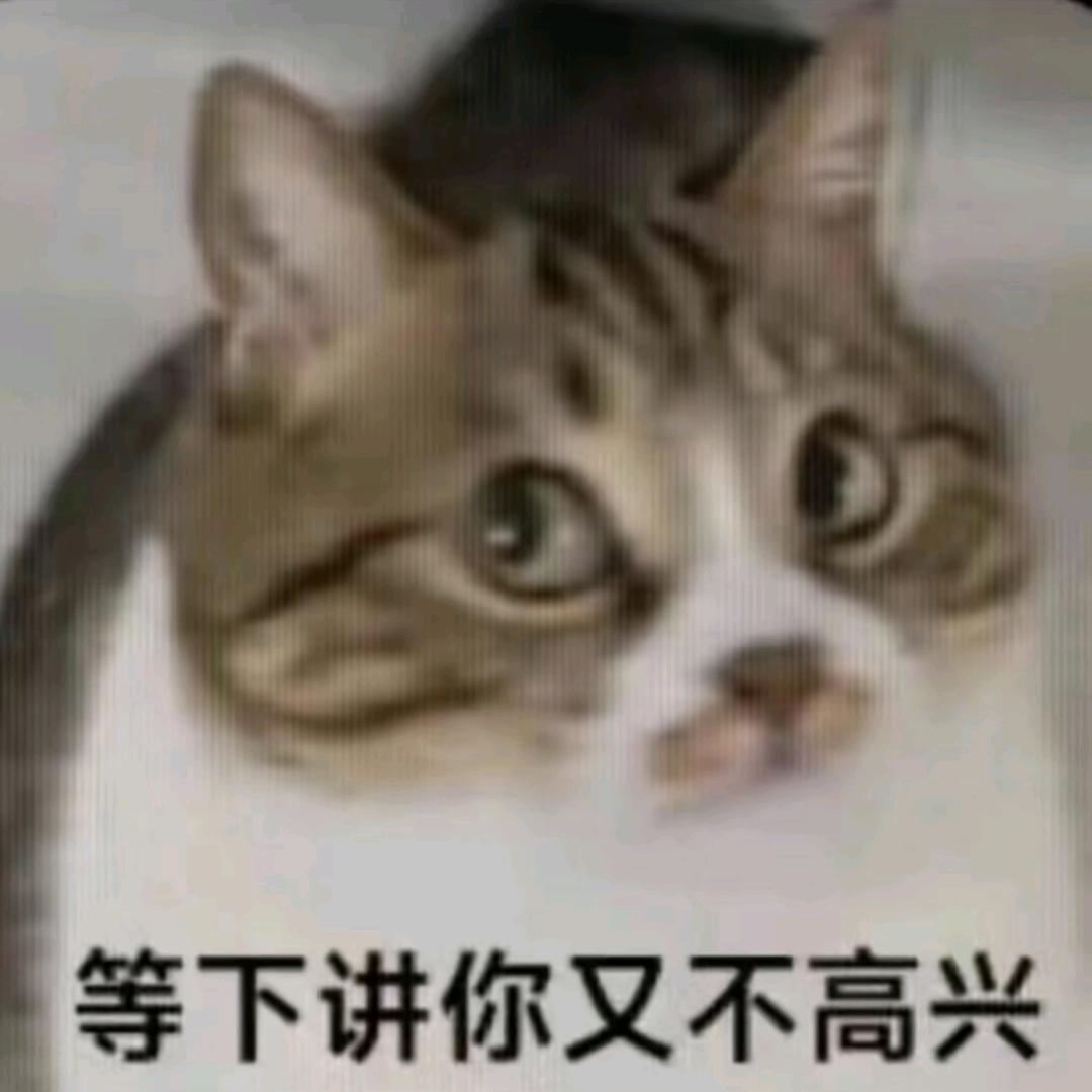 鹰头猫