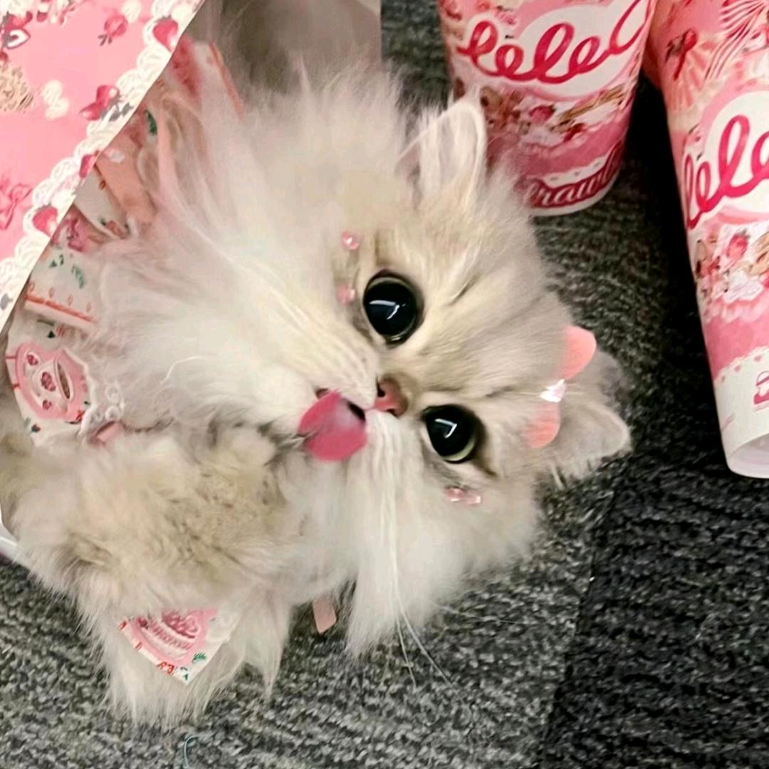 LLL