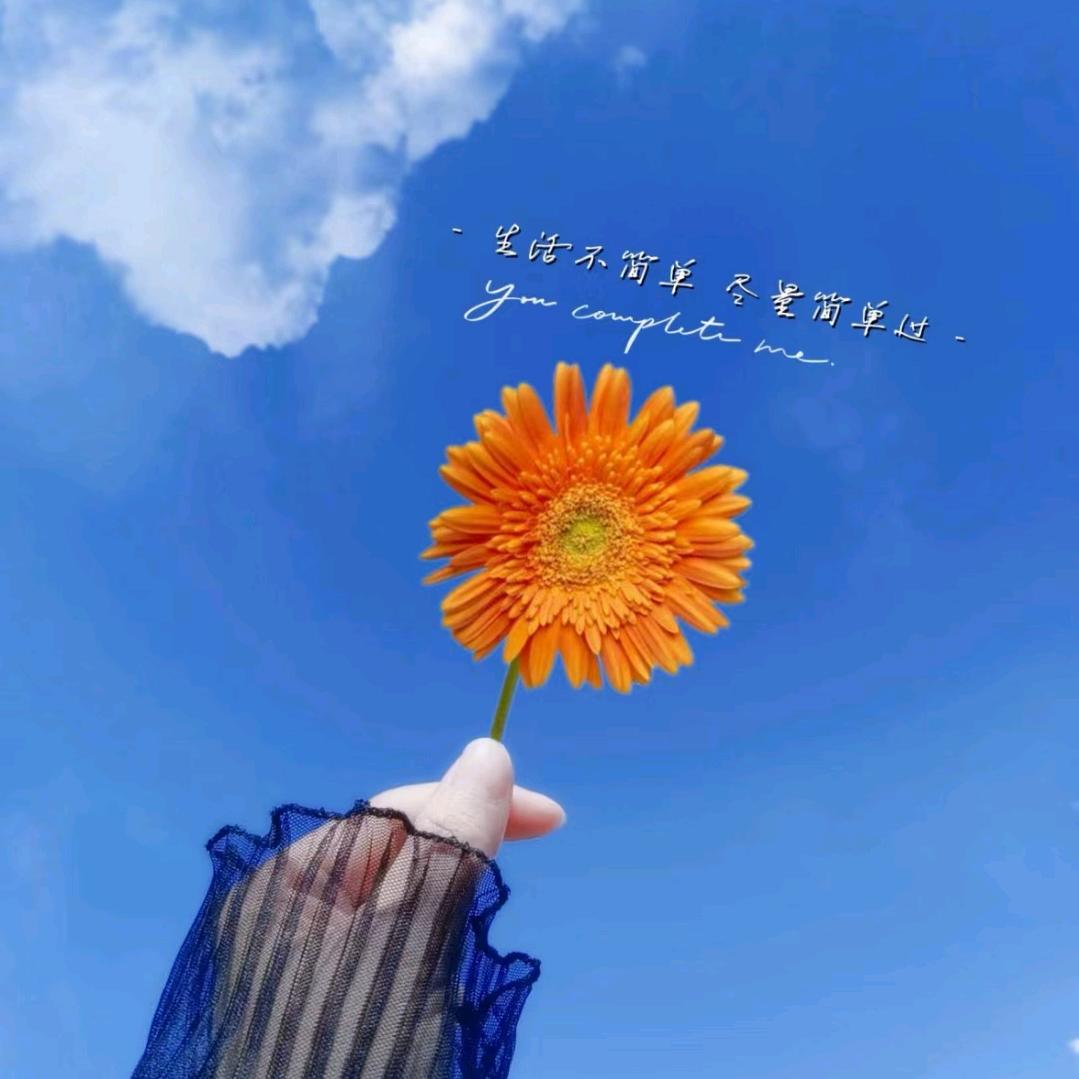 开心姐