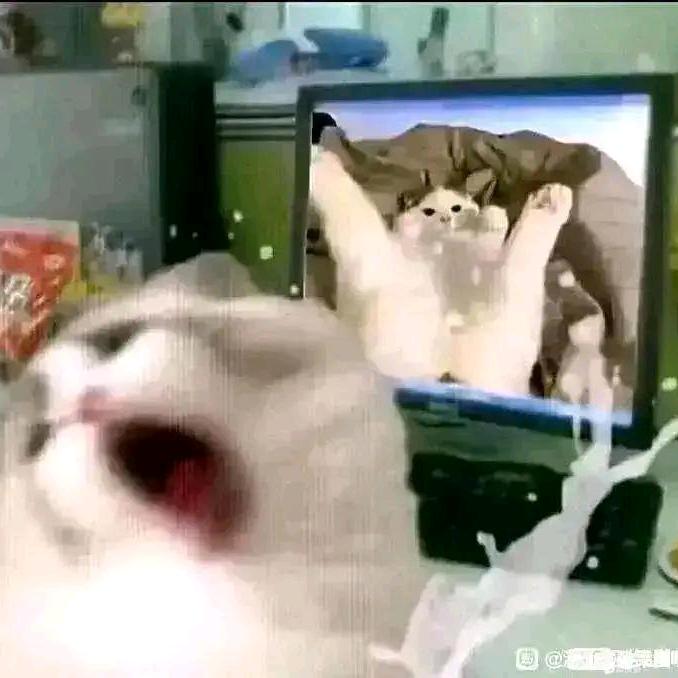 狂暴狗王