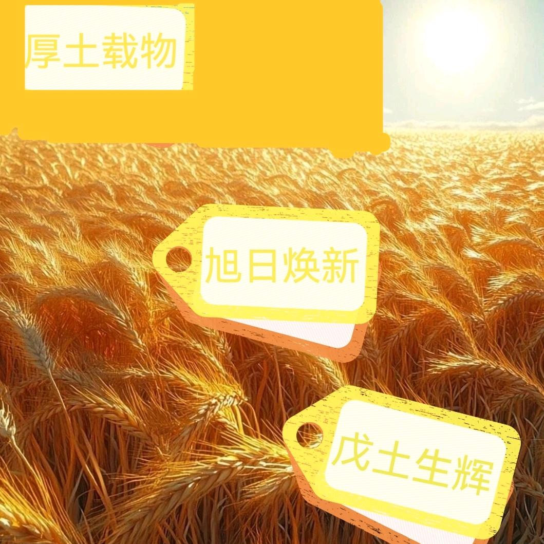 戊土生辉