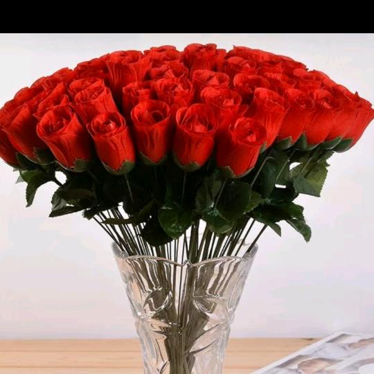 雪中梦🌹🌹🌹