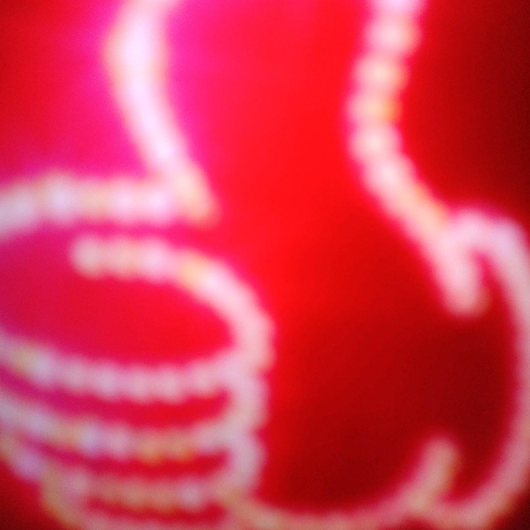 五哥抖音上的缘份