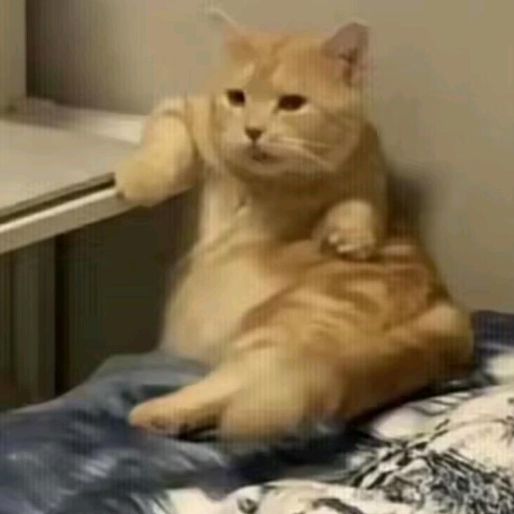 托马斯绿皮小火车