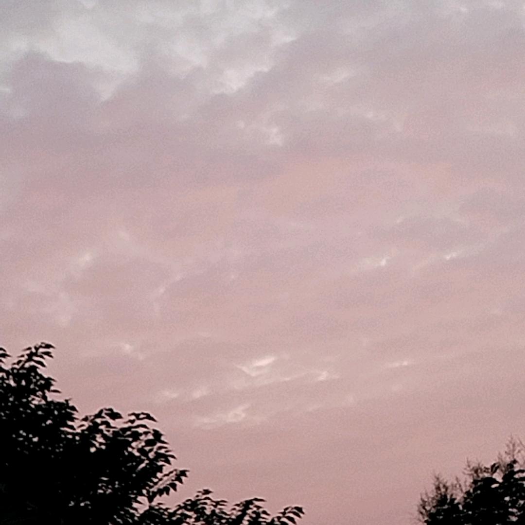 LSDHR