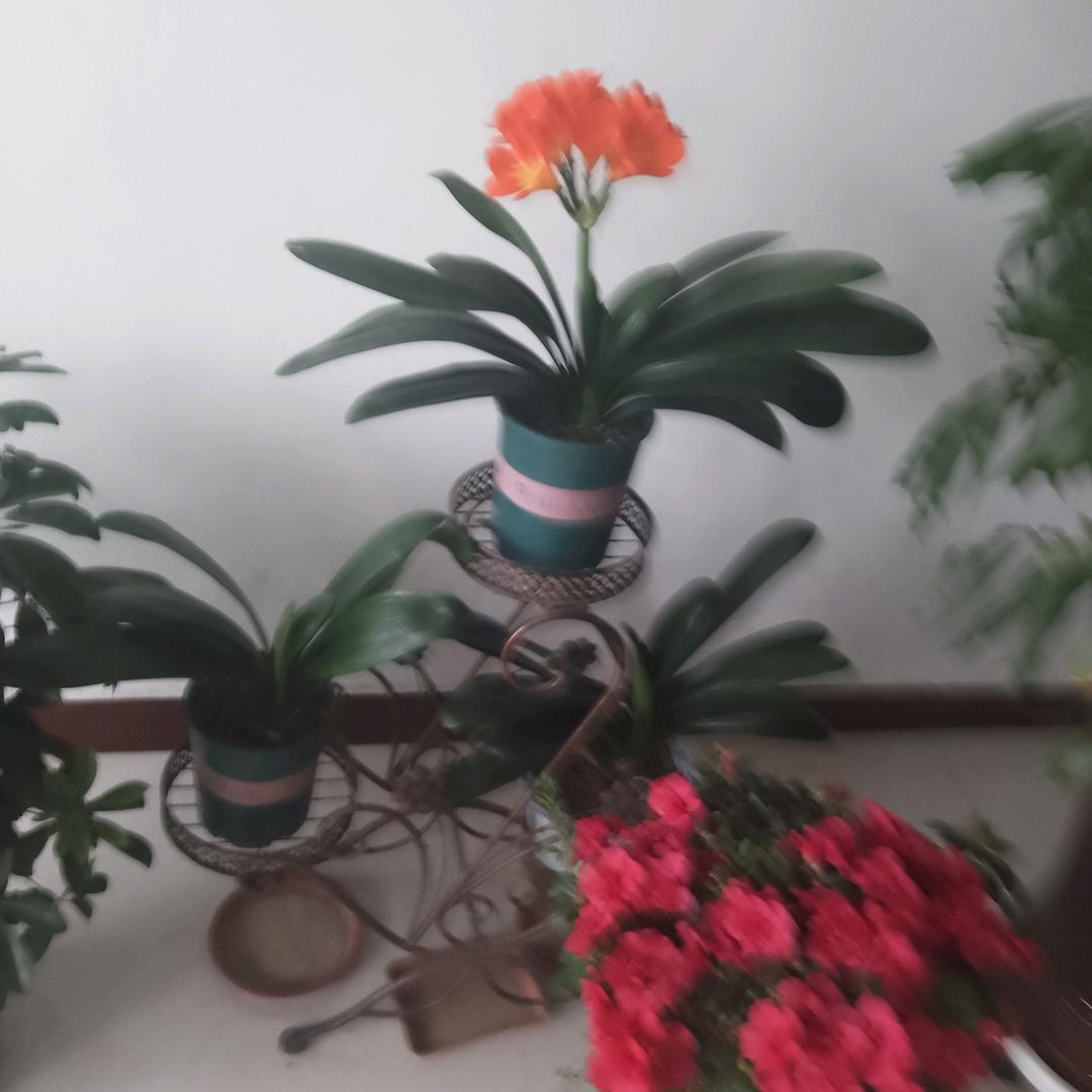 林海