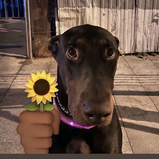 广州一星汽车（主营马自达）