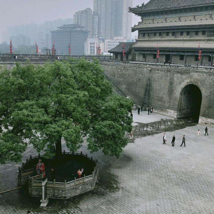 许明月