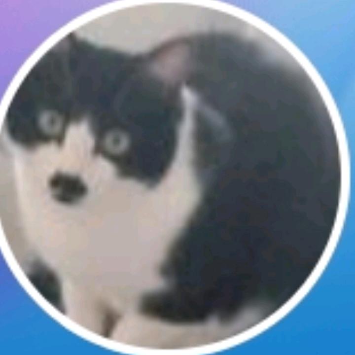 康复