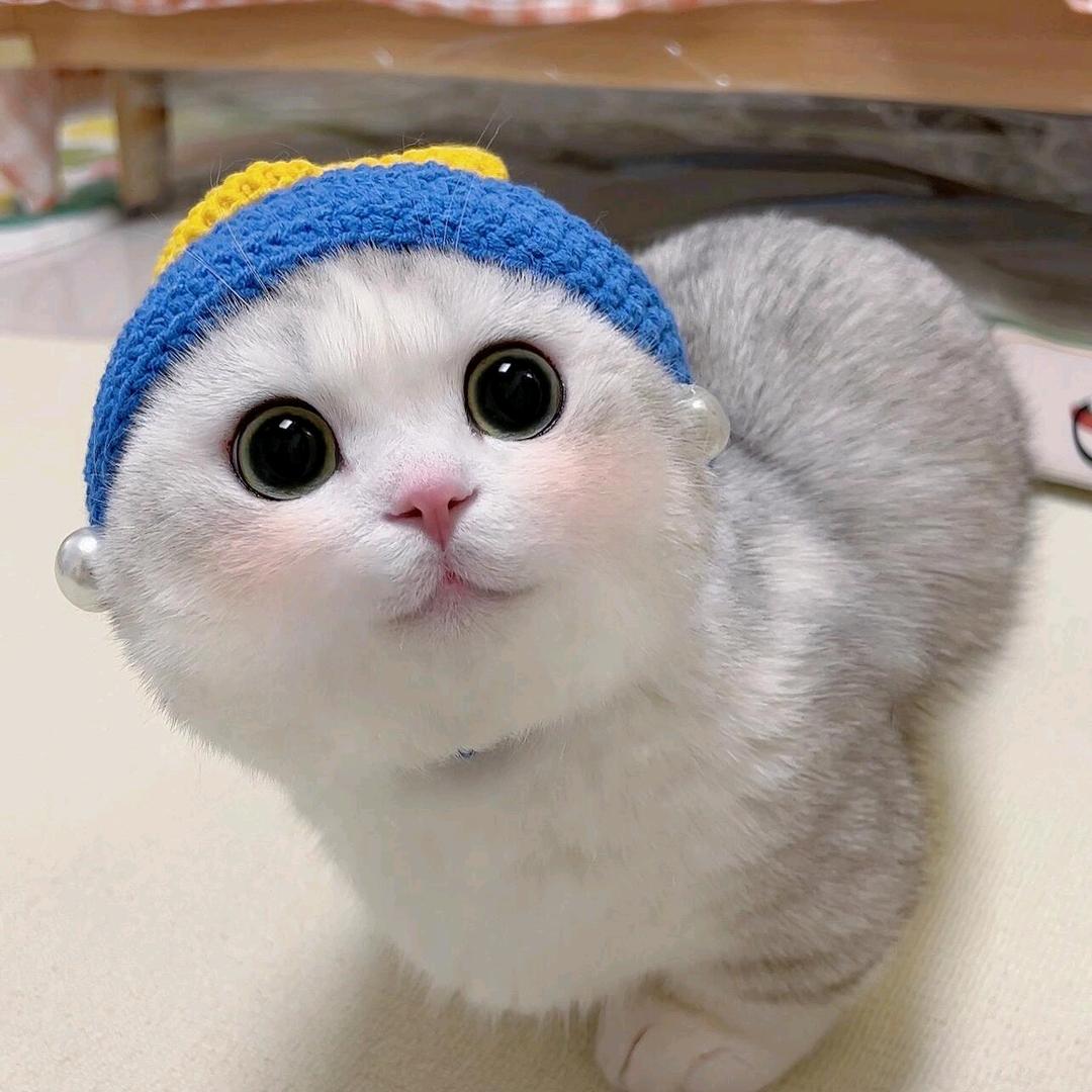 雪碧老乔