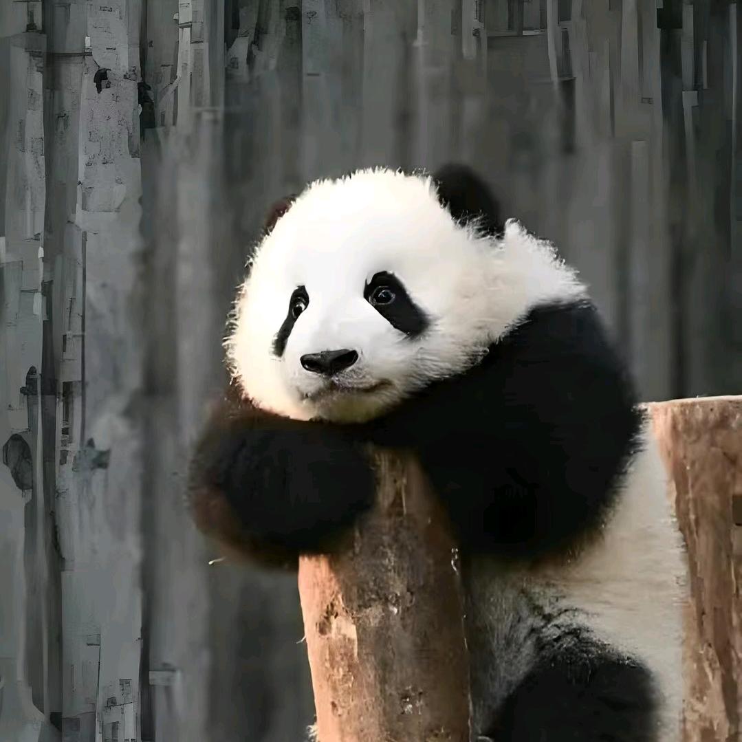 手握风云٩( 'ω' )و