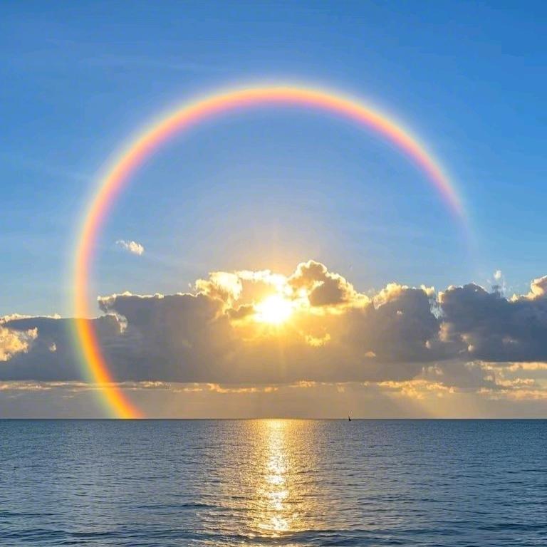 赖德行-一叶知秋