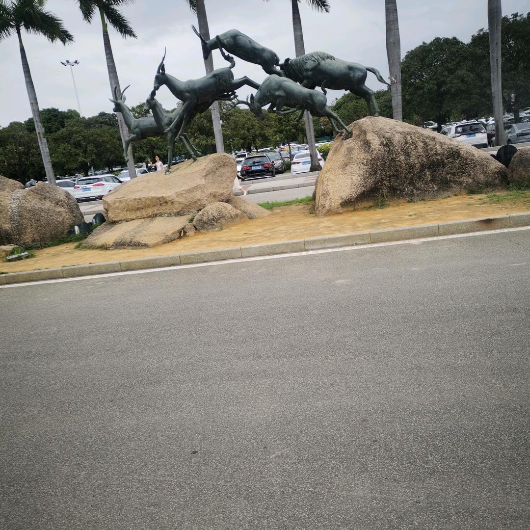 孤独的大雁。