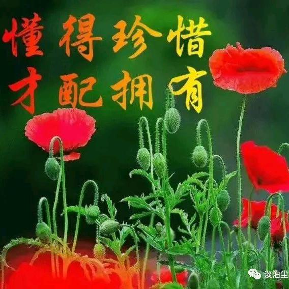 懂得珍惜，才配拥有！