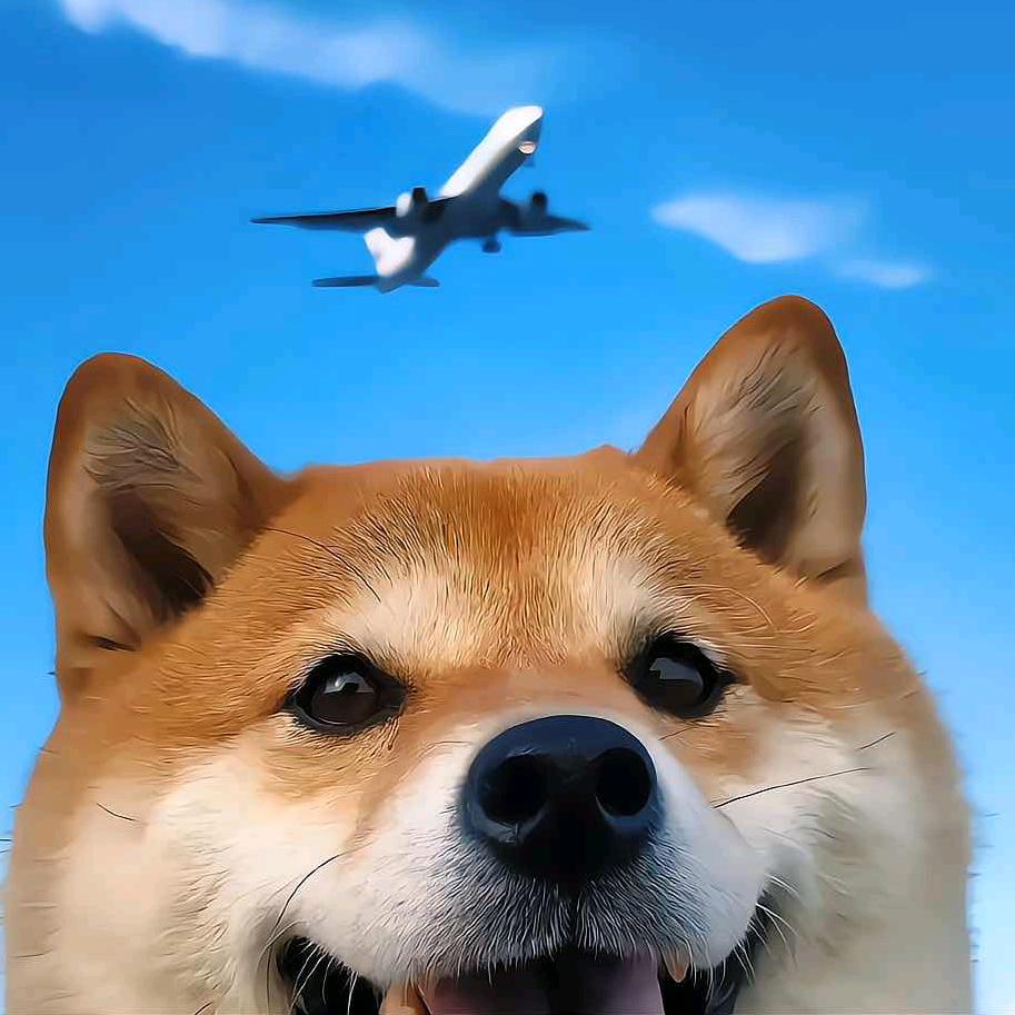 🌇