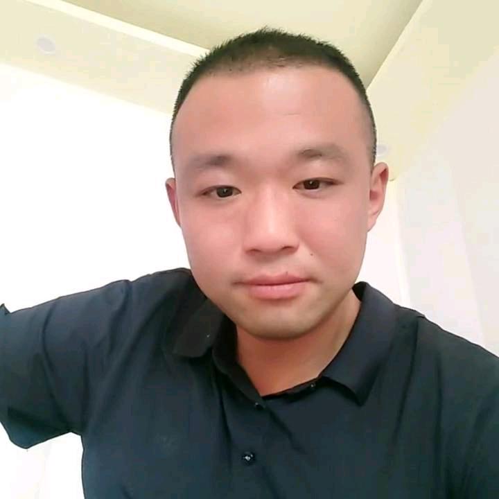 山东石雕狗会泰山