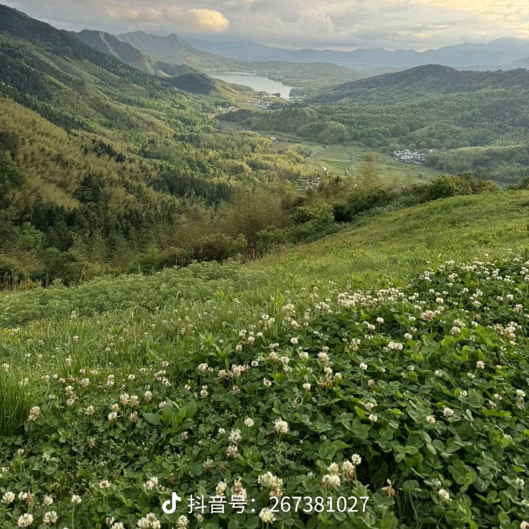 晴空万“李”