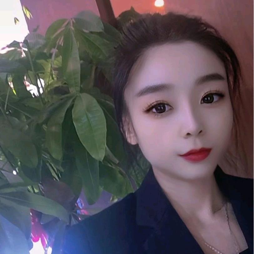 丹丹（19:35开播）