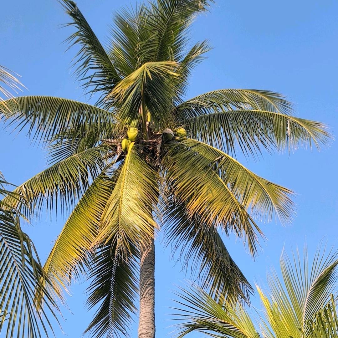 寂寞(͡° ͜ʖ ͡°)点根烟ಠ_