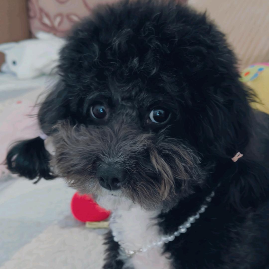 了啦咯啦咯啦咯了