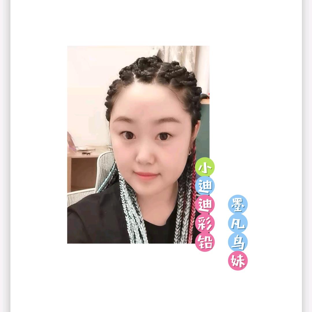 小迪迪彩铅（高端鸟画像定制）