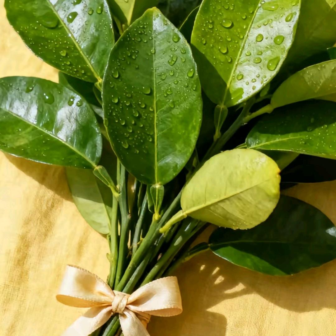 @꧔এ🐏¹⁹₉₁黄金万两꧔এ🐏