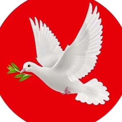 佳音姐❤️《请匆连赞》