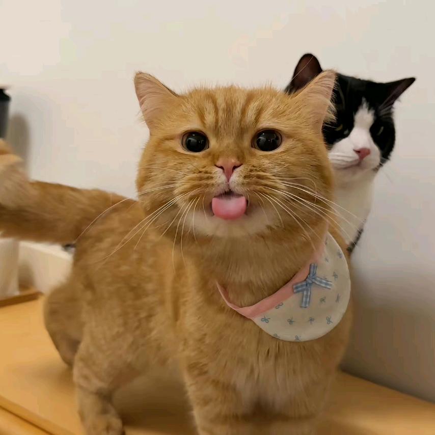 ✨赴约