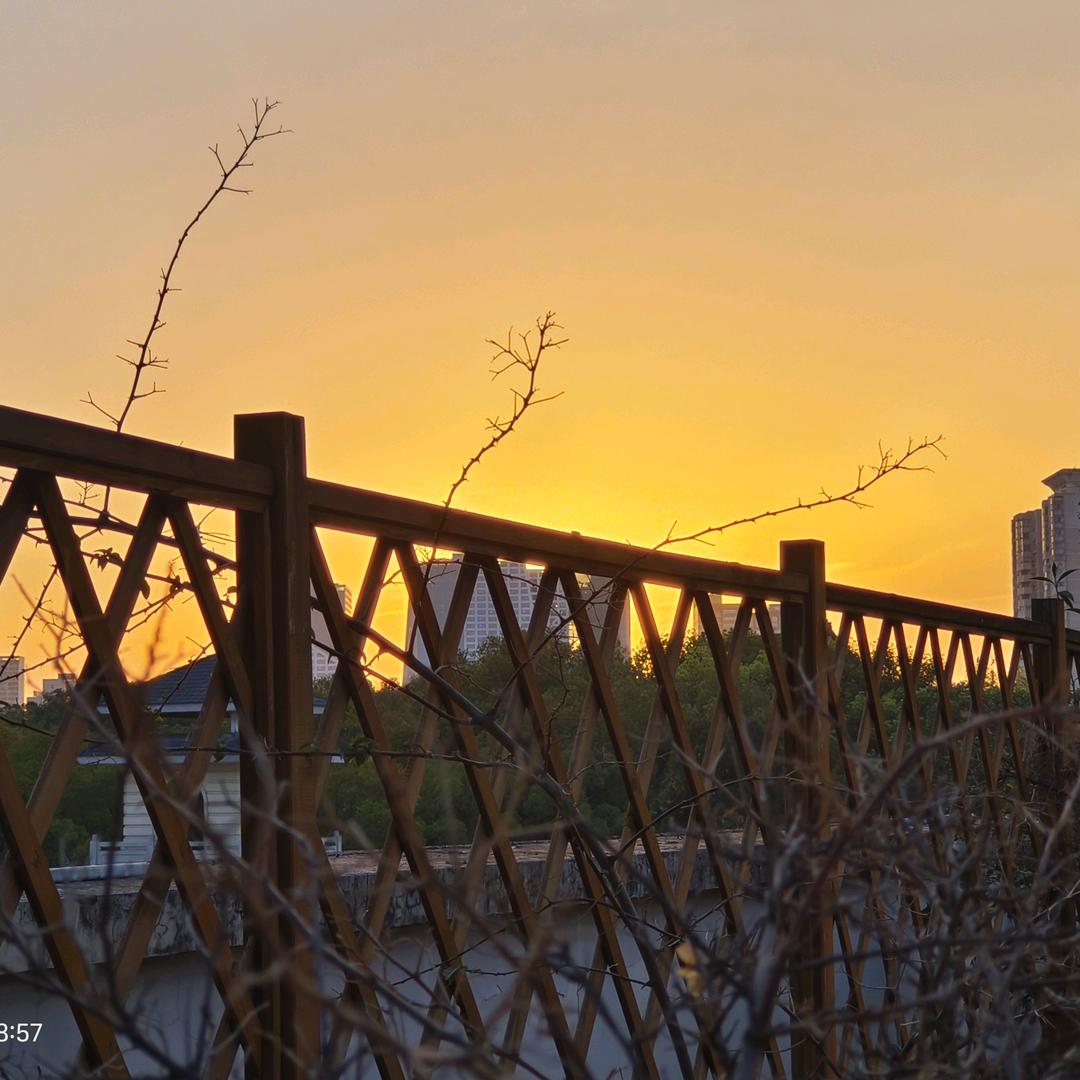 癫癫的糯米茭白烤饼