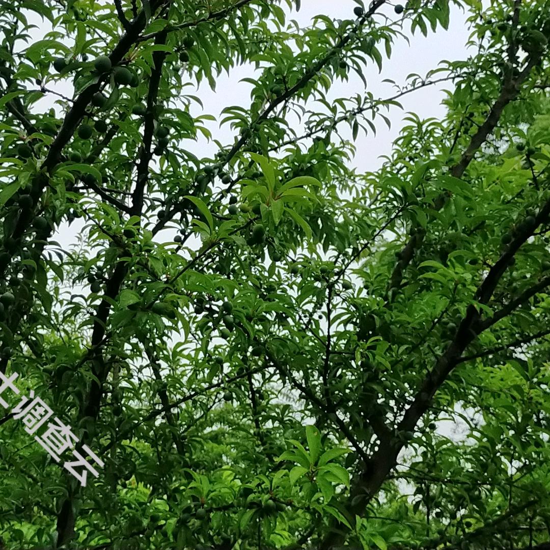 跟着社会走