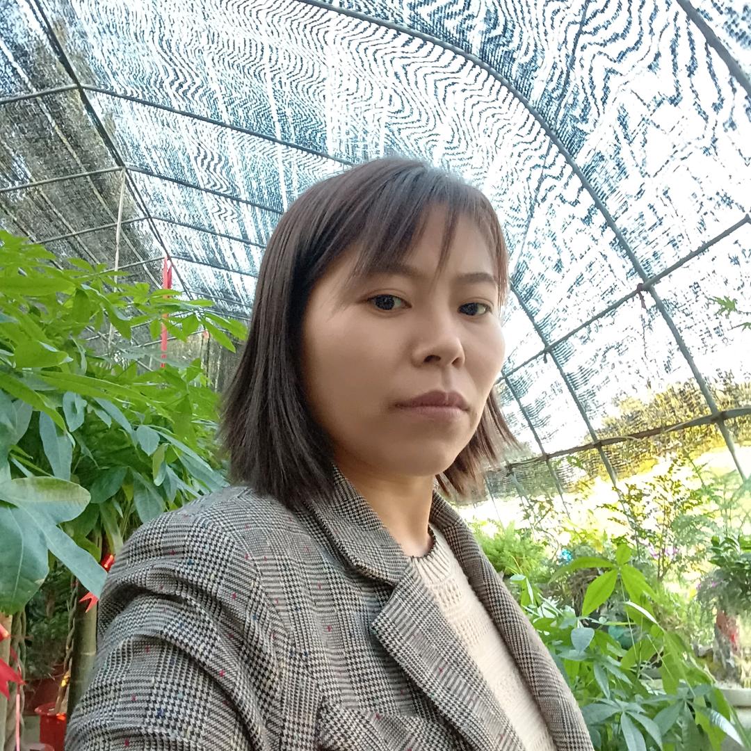 萍萍姐（晚20：18）