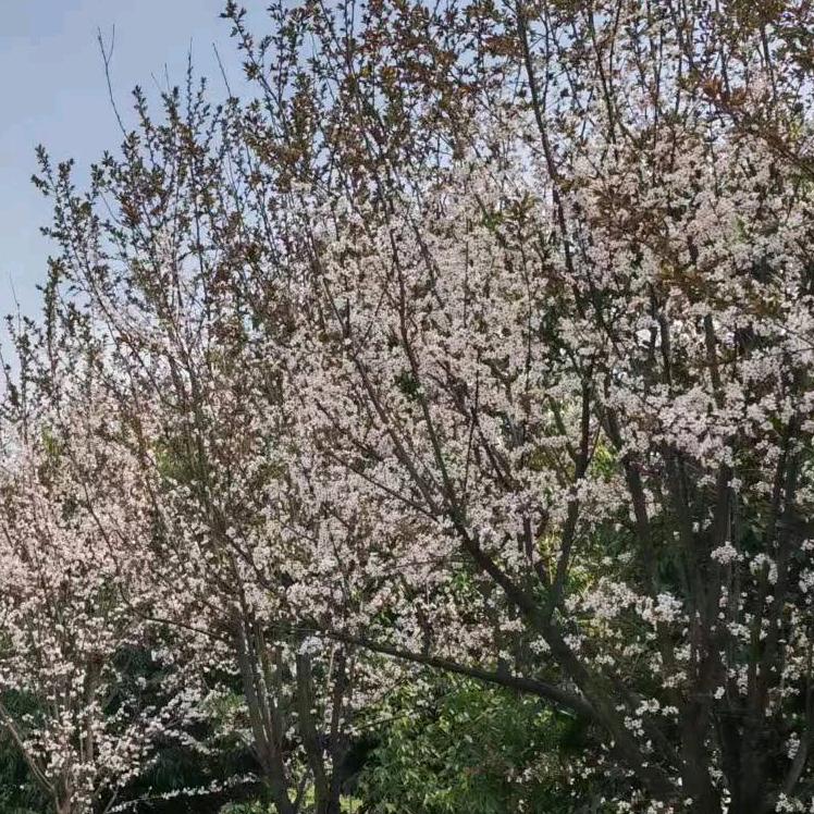 人是本书⊙ω⊙⊙ω⊙