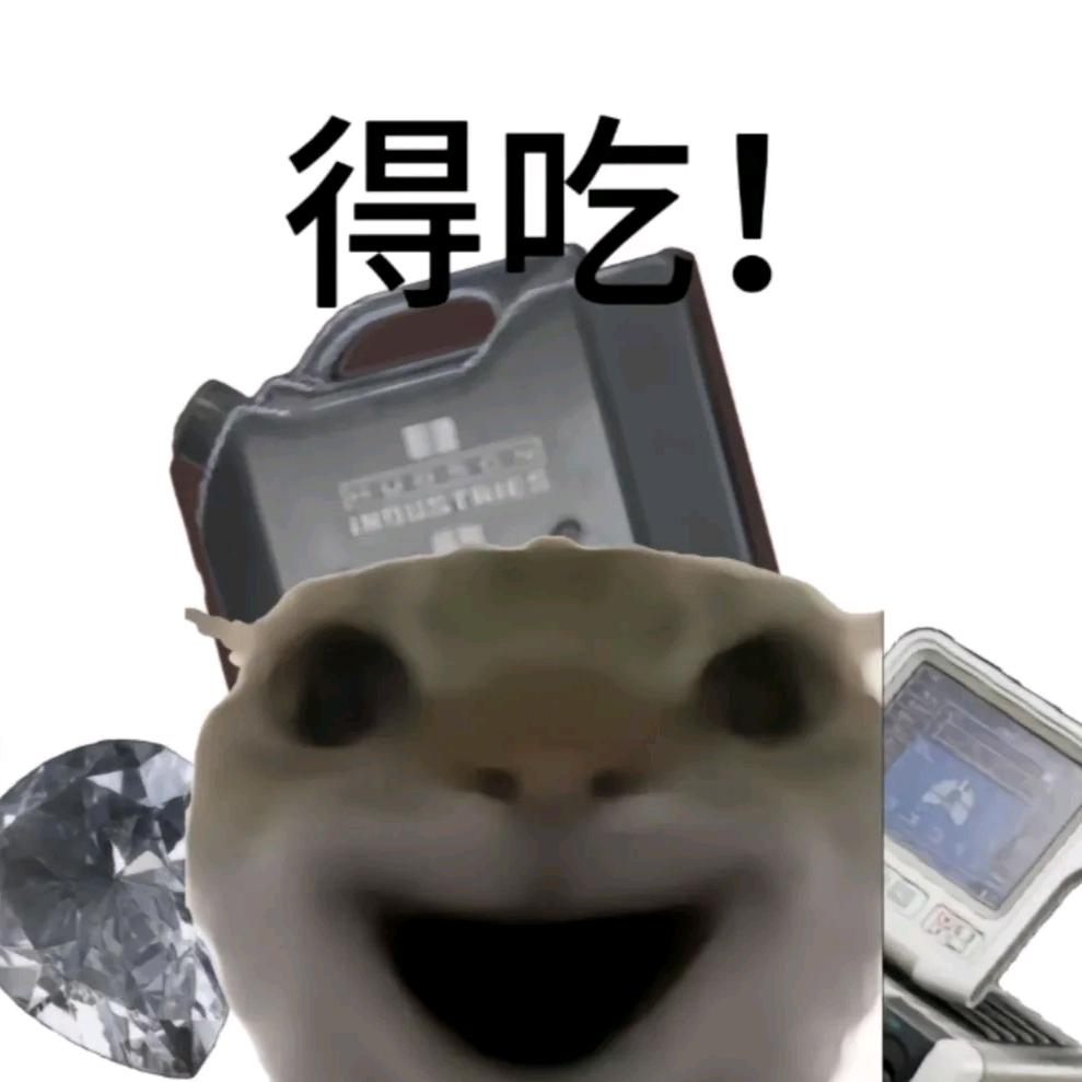 小黑（三角洲行动）