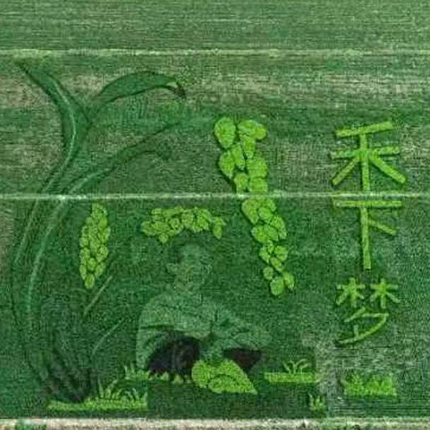 郭老师话三农