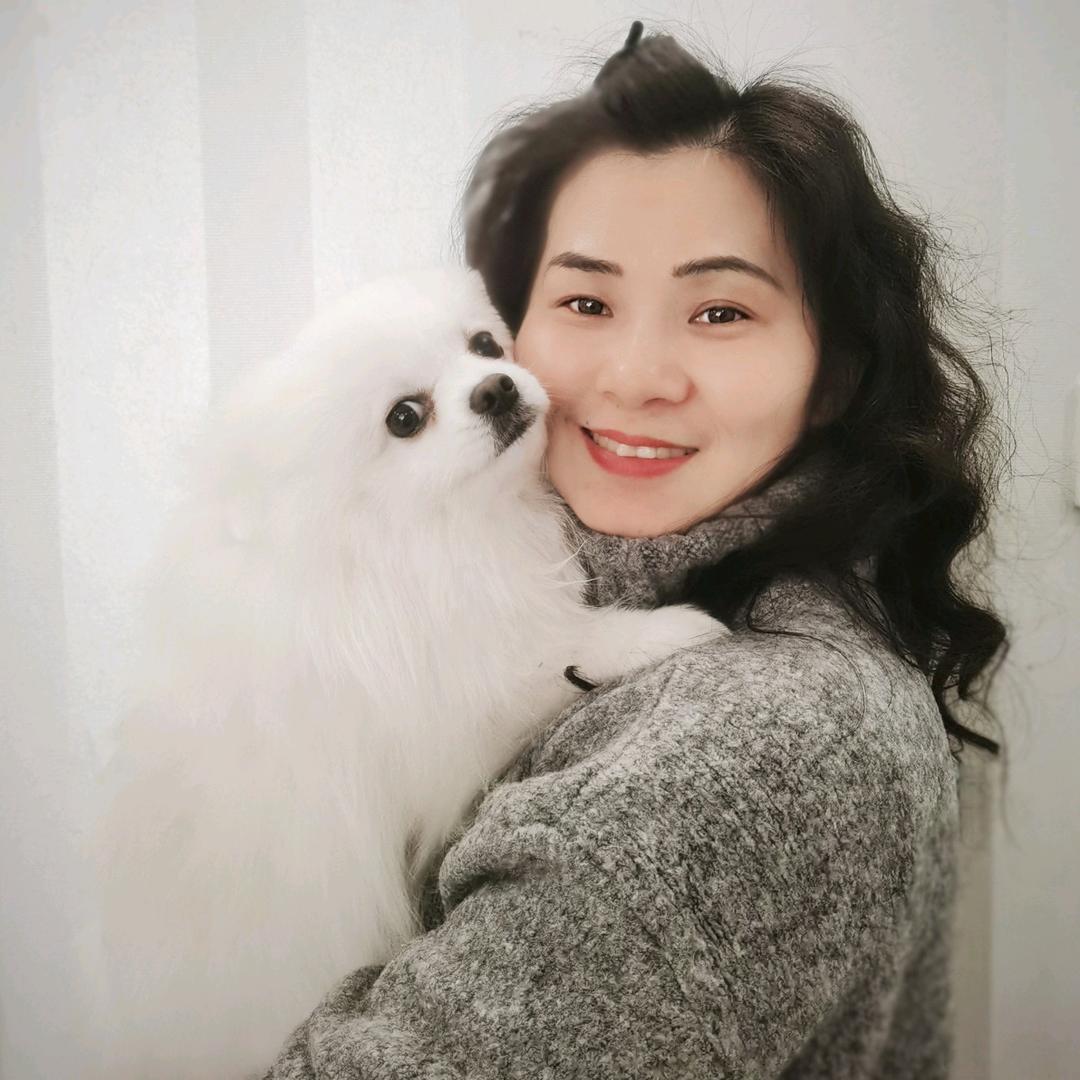 宠物小家