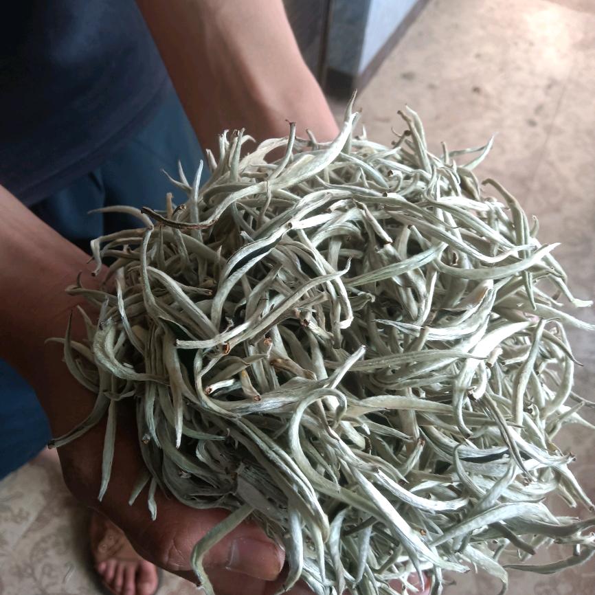 与茶相伴云南临沧小改，橱窗好物等你拿