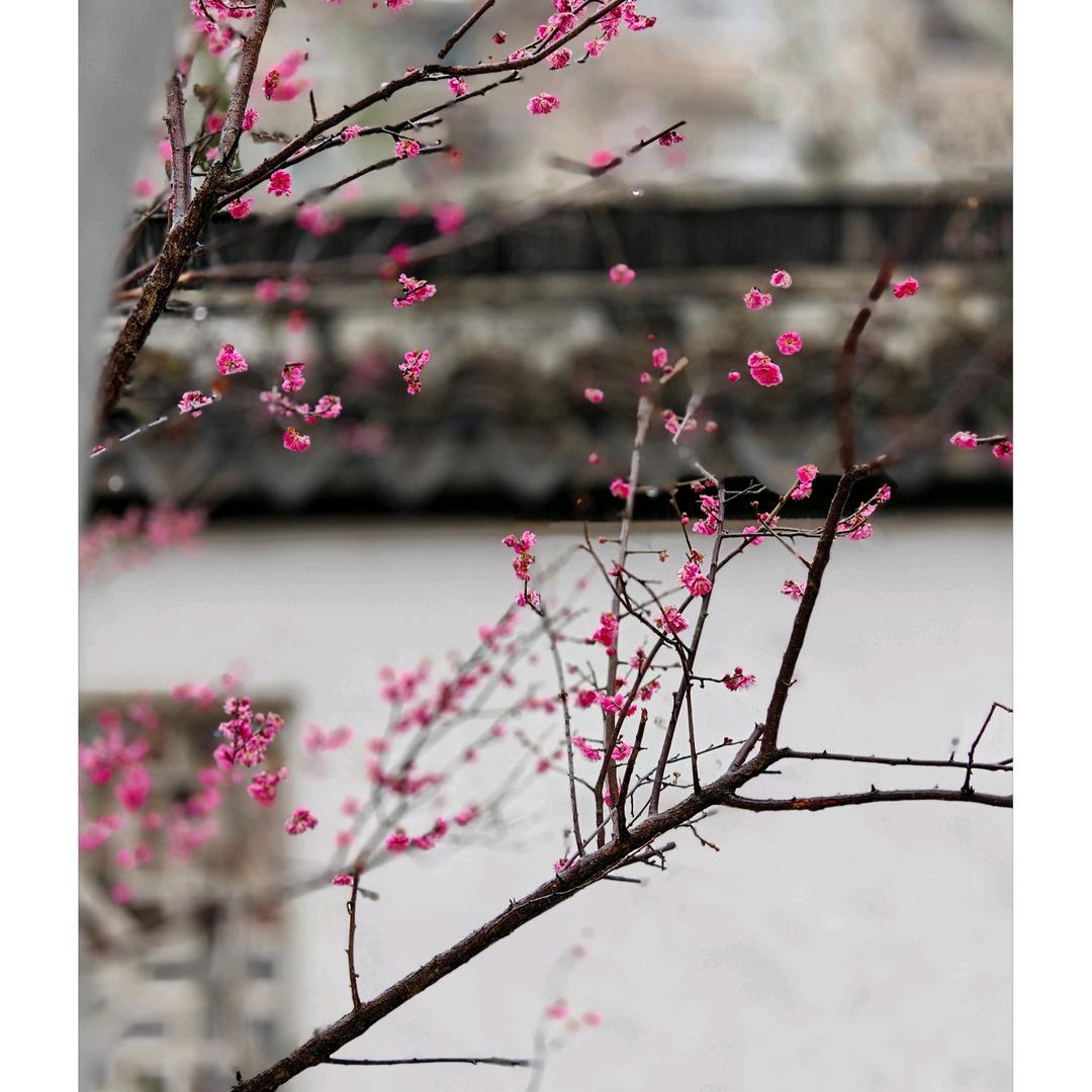 汇成千格百货