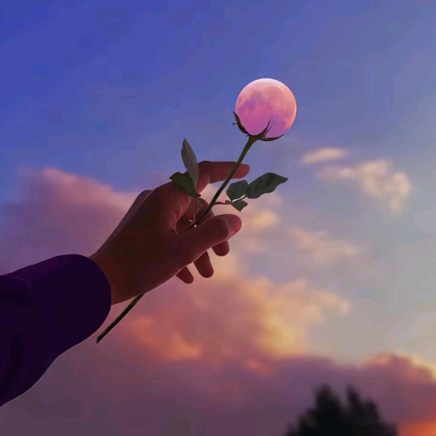 沭阳蔓芮阁花卉园艺场（个人独资）企业店