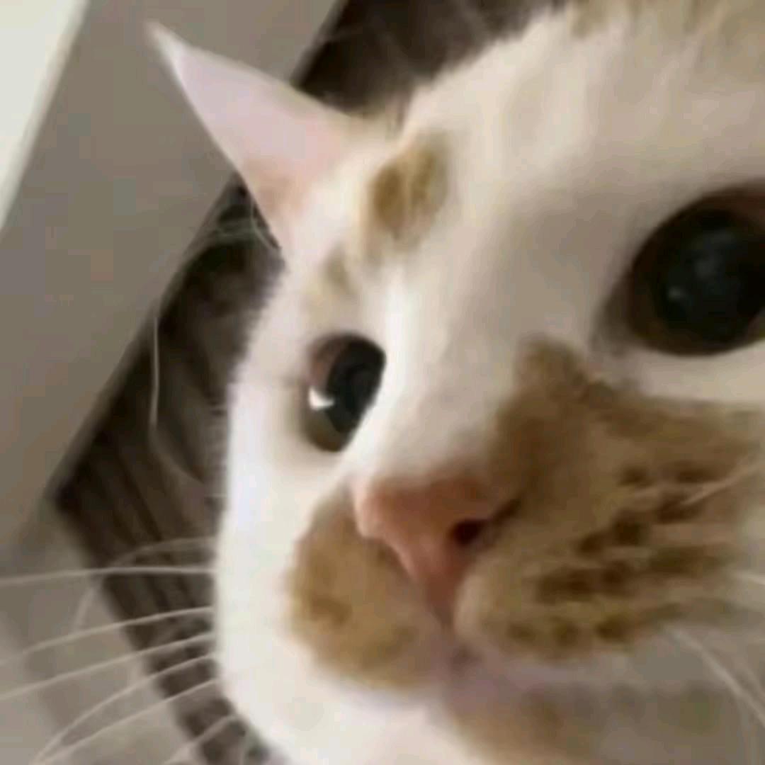 ギターヒーロー